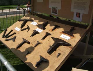 A display board of old anvils with about 15 small and medium sized anvils of various specialized shapes--all rusted but oiled and clearly being cared for.