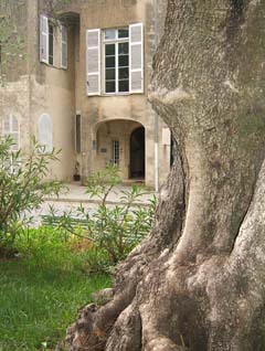 A gnarled olive tree frames the similarly weathered entry portal to Renoir's villa.  Shttered windows are staggered in different sizes and heights typical of an old villa that has been remodeled many times over the years.  It must have been pretty much like this when Renoir first arrived.