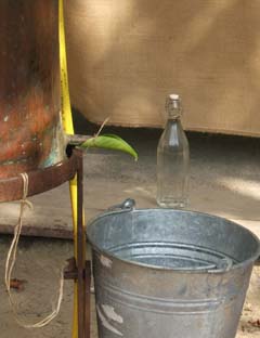 Close up view of a copper still that has a lemon leaf tied to a small spout for the distilled spirits to drip out into a galvanized pail.