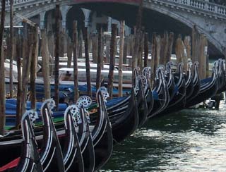 A long row of Gondolas sit side-by-side each nearly the same but differing in detail.  In the background is the Rialto bridge.