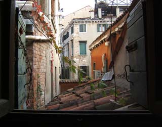 Image is framed by the opening of a small window at the level of the roof ouside.  A jumble of planes from the walls of nearby buildings are perforated by windows and decorated with vines, wires, and pipes.