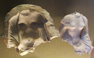 A fragment of a mold for creating a small figure out of clay.  The negative and positive are presented.  The fragment is of the bared torso of a woman.  Another best seller.